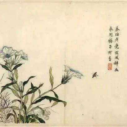 初学者怎样取法芥子园,画兰花?_兰叶_闽兰_折叶