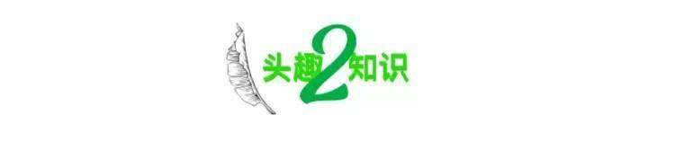 借住亲戚家：是享受便利还是破坏情谊？