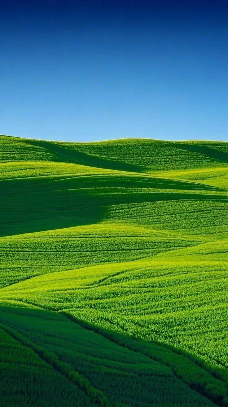 满眼的绿:送你护眼屏保