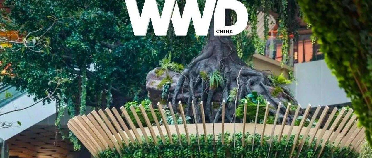 商业洞察｜零售创新 3.0，公园式商业体正在成为下一个非标战场？_空间_Cypark_项目