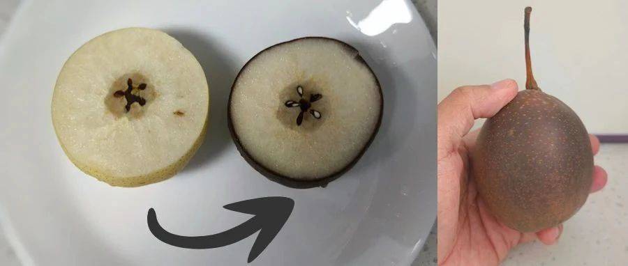 价格不菲的藏乌梨,究竟是何来历?手把手教你在家制作高价水果(有锅就行)_果皮_果肉_梨子