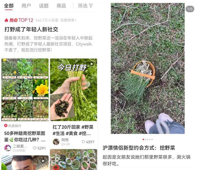 边挖野菜边相亲这届年轻人花99元当“王宝钏”(图2)