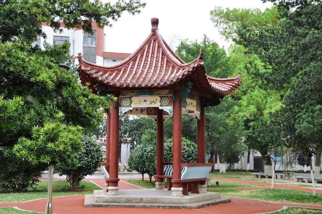 这么多校园美景要我怎么选!快来留言区告诉我答案!