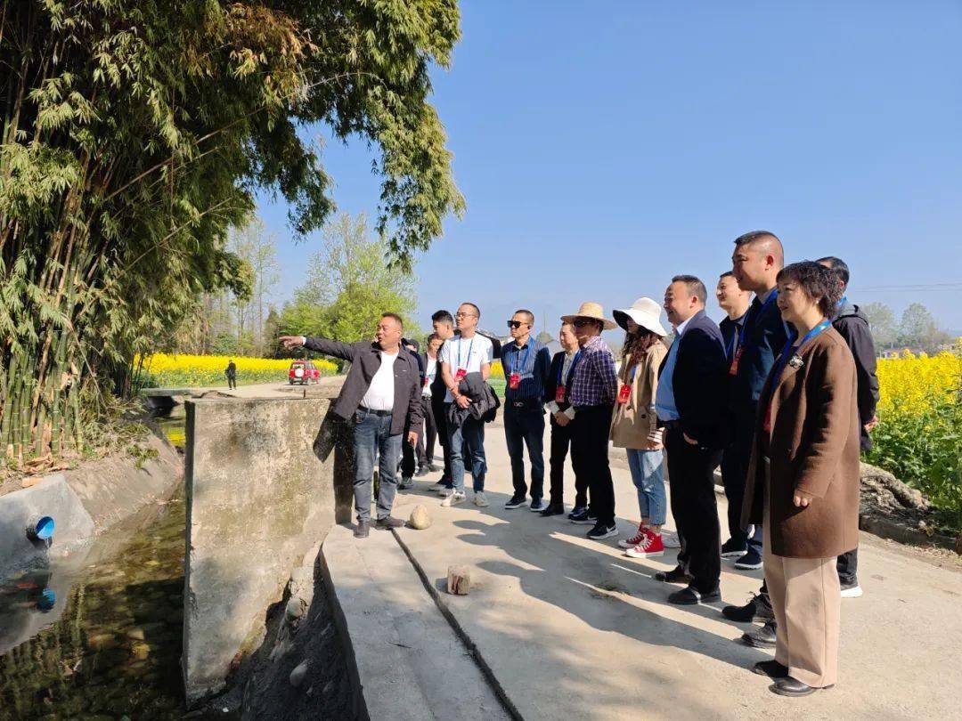 都江堰市第十九届人民代表大会天马镇代表团开展2025年第一季度代表