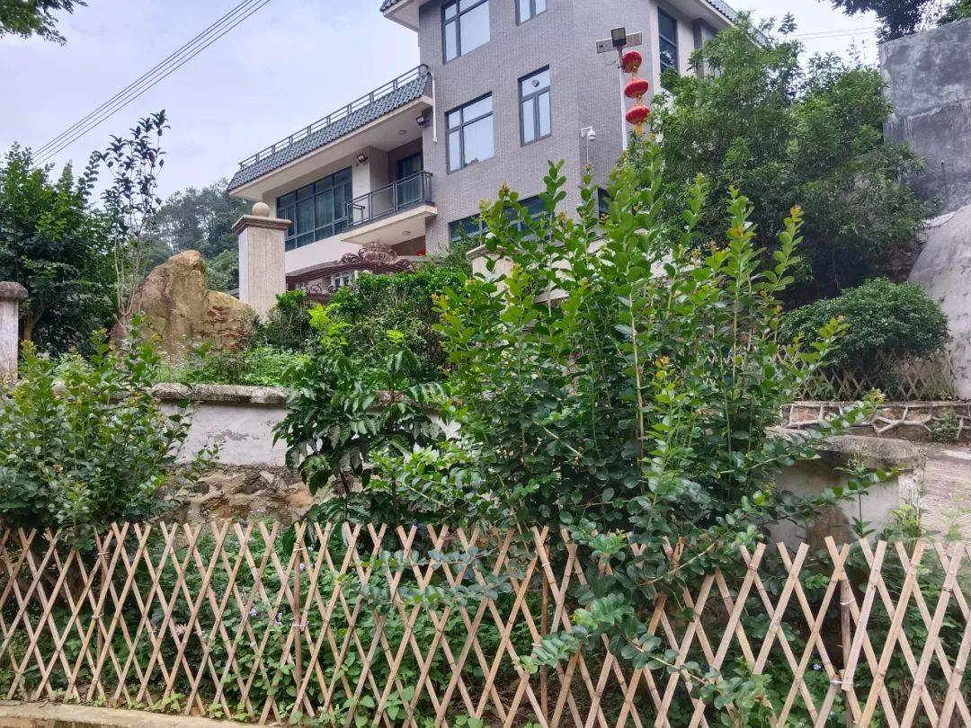 环球360官网美丽庭院丨南江口镇：发挥“美丽庭院+”优势 勾勒美好生活新景(图3)