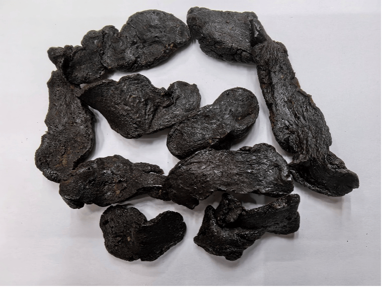 养生用好常见黑色中药滋补肝肾又变年轻