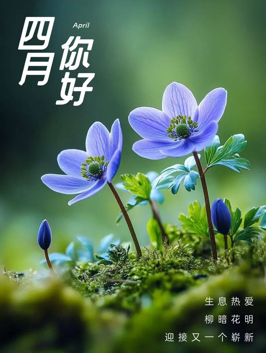4月1日人间最美四月天新版漂亮祝福图片温馨祝福语:四月来信,美好如期
