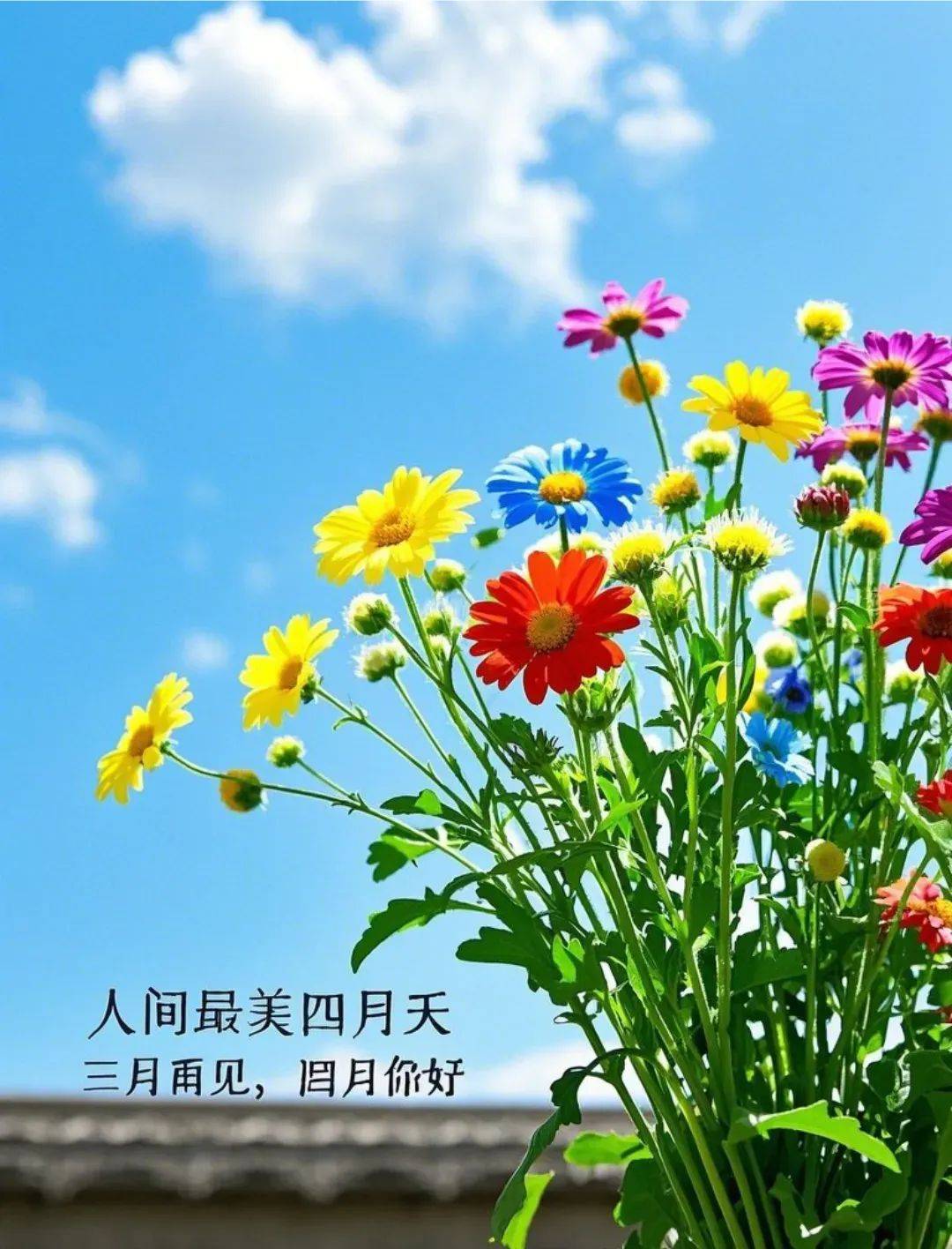 4月1日人间最美四月天新版漂亮祝福图片温馨祝福语:四月来信,美好如期
