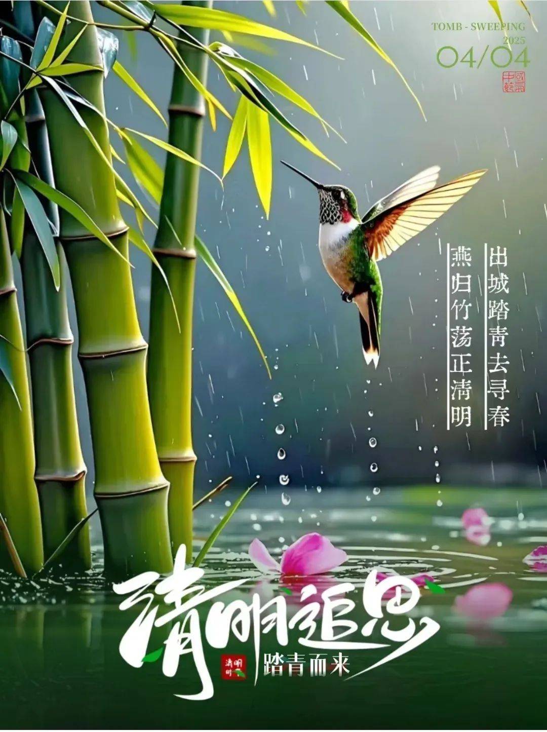 ssnis 番号福利最新速递速递，今日精选推荐热门，高清画质资源获取指南，点击直达观看通道