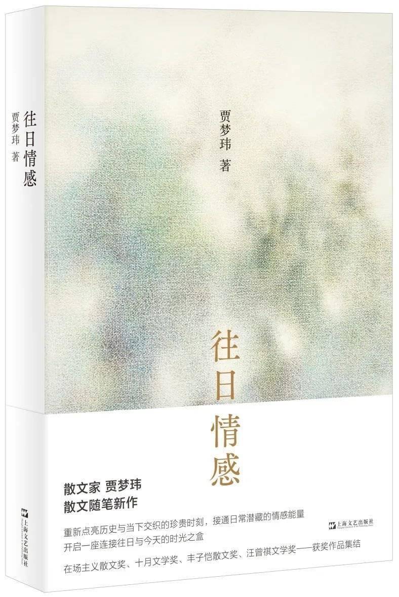 贾梦玮:散文家是无可回避的,如果写一些无关痛痒的文章,完全没有价值_情感_散文集_时间