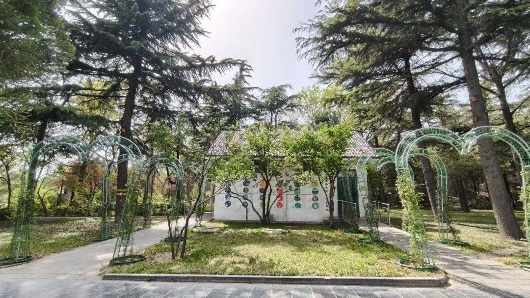 市园林环卫中心试点提升十座样板公厕(图4)
