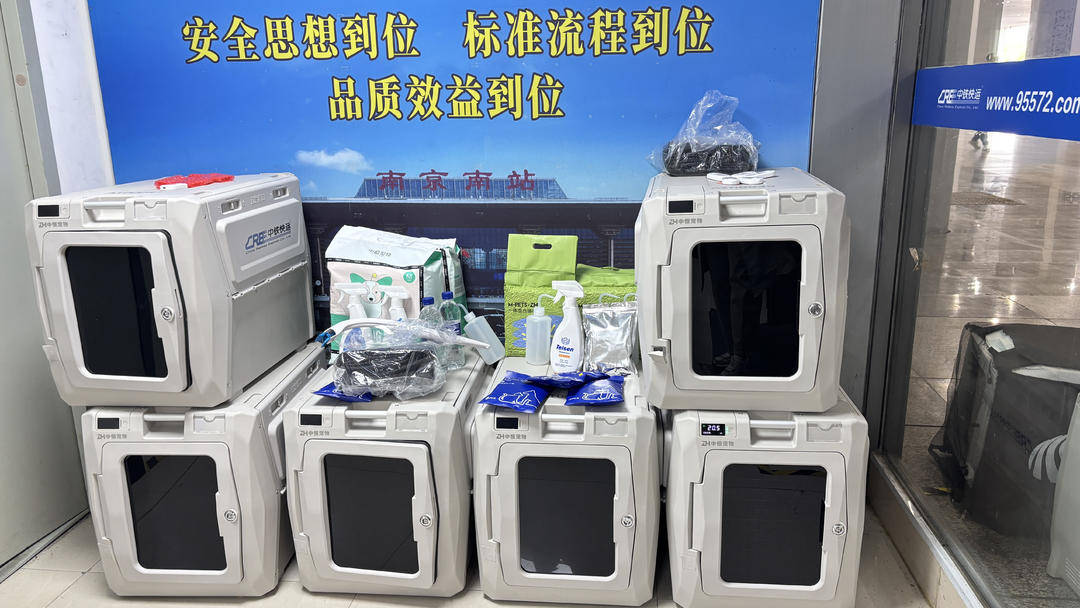 南京南站首单“宠物托运”发车，柯基犬成首位“旅客”（南京南站可以托运行李吗）