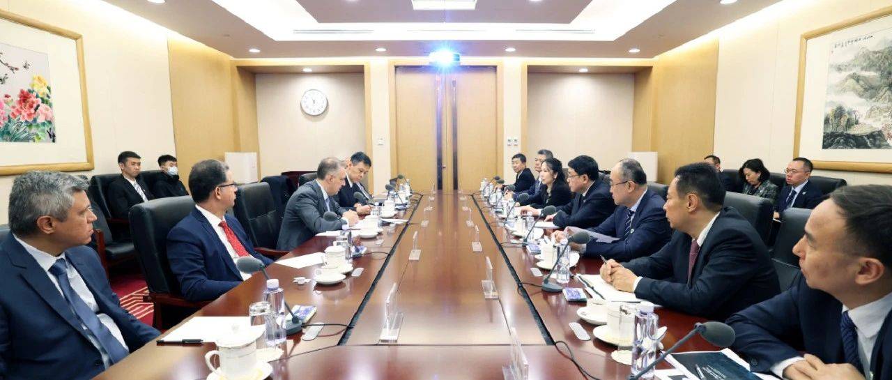张智刚董事长会见巴西国家电力调度中心主席马尔西奥·雷亚_输电_合作_能源
