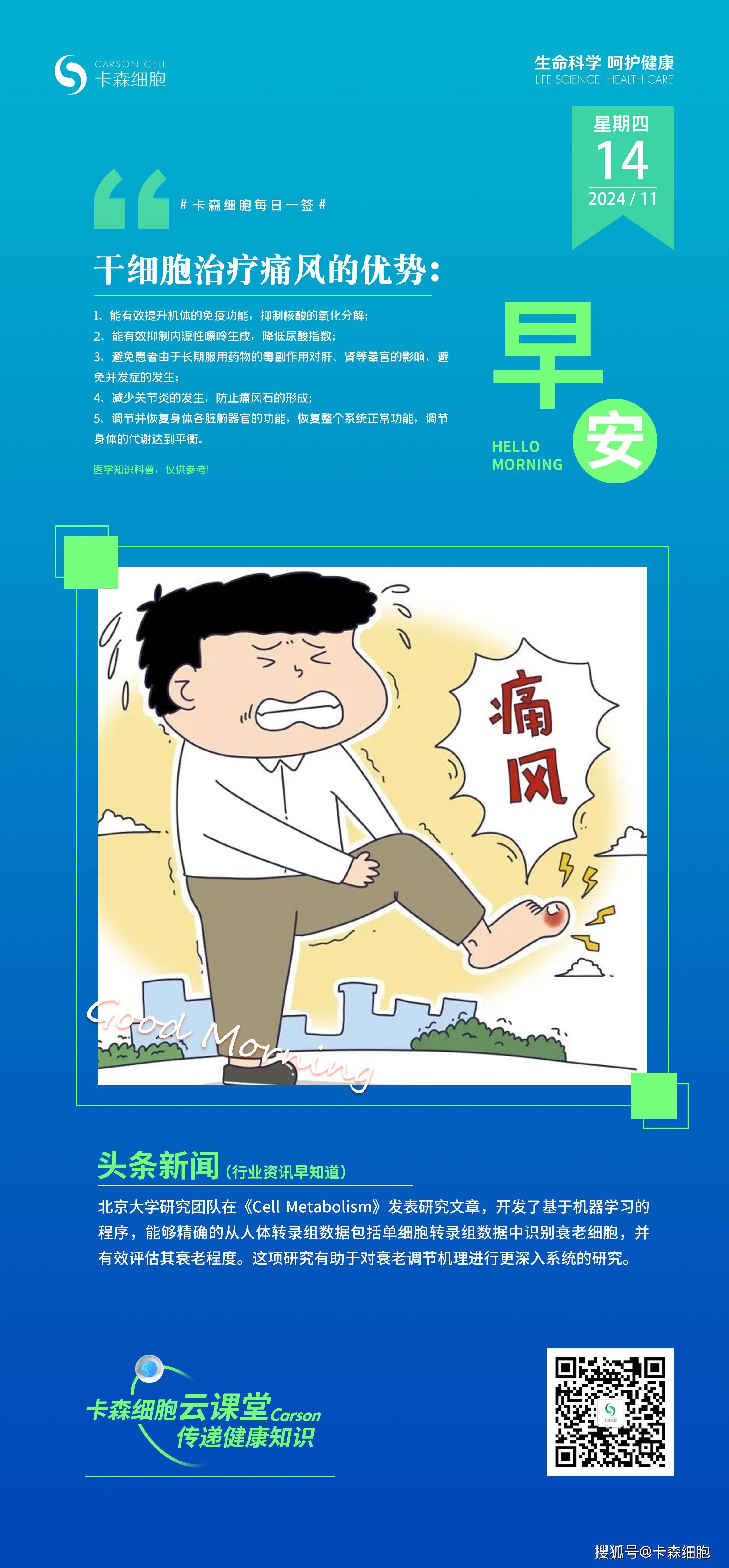 干细胞疗法:为痛风患者带来新希望?