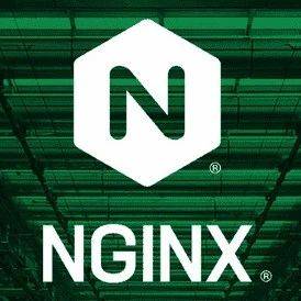 一站式 Nginx 实战指南:从小白到高级运维工程师的进阶之路_服务器_传输_模块