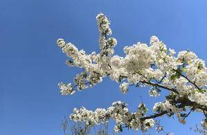 清明踏青济南行：水晶天里的春末夏初漫游指南_Spring_天气_建议
