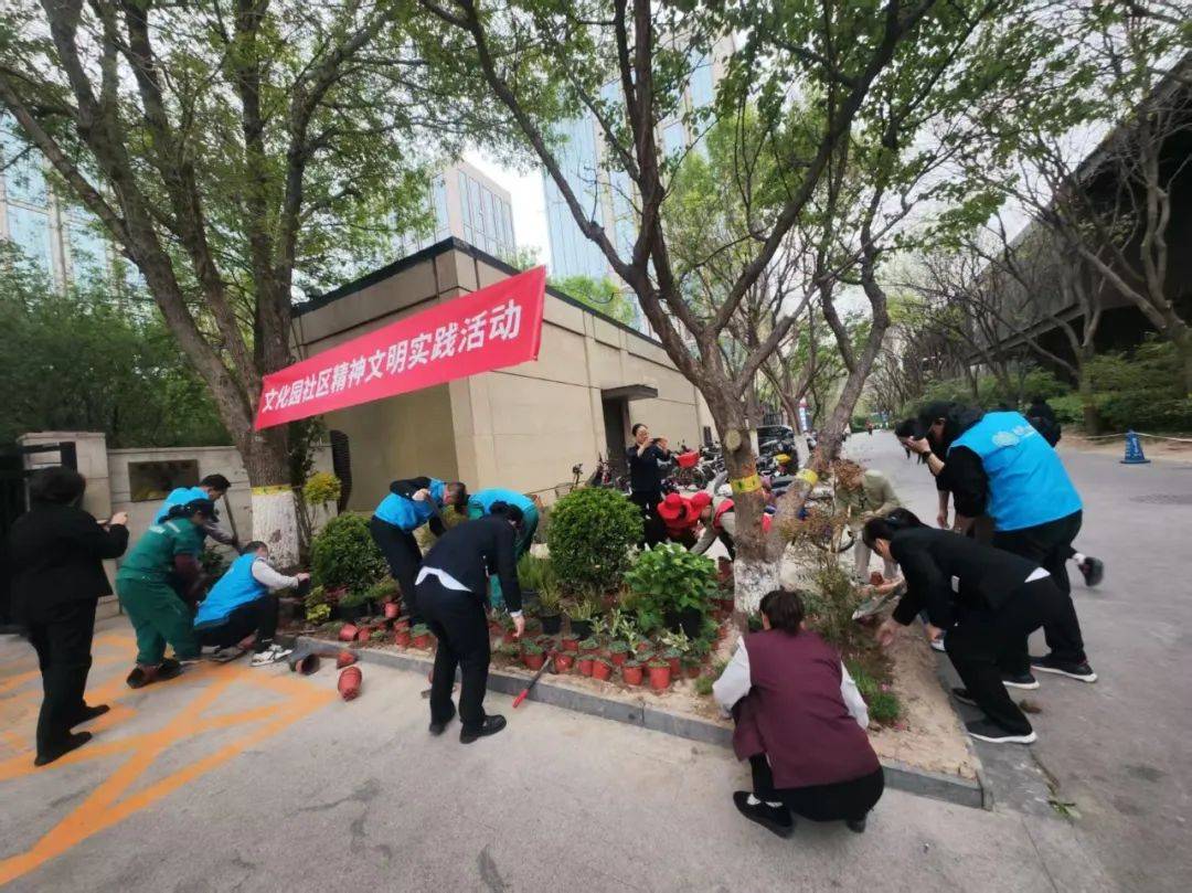 社区谷雨植新绿栽种新希望(图7)