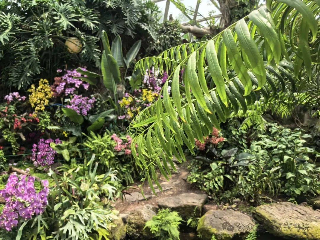 辰山植物园游记