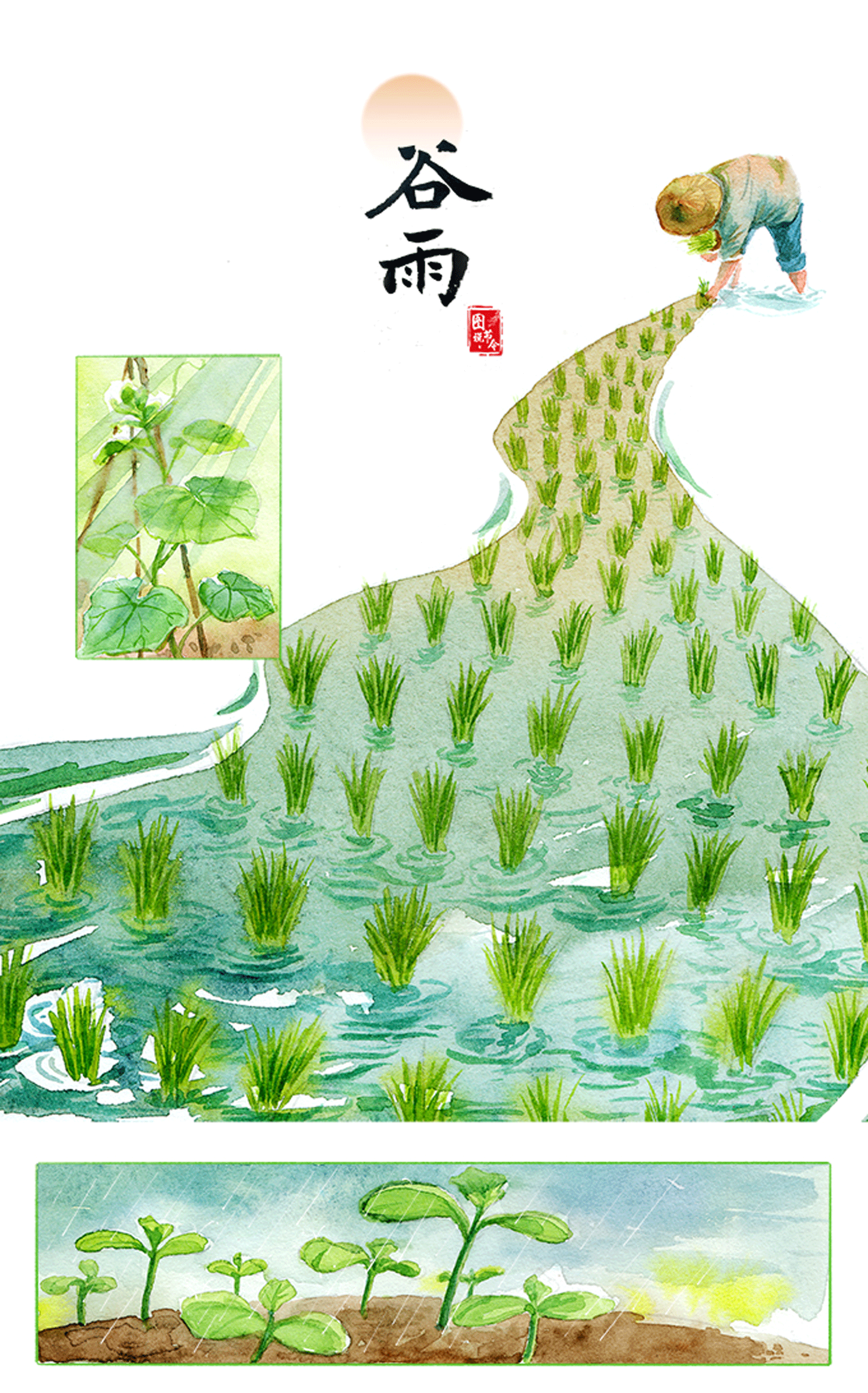 图说节令|7图解码春天的最后一个节气