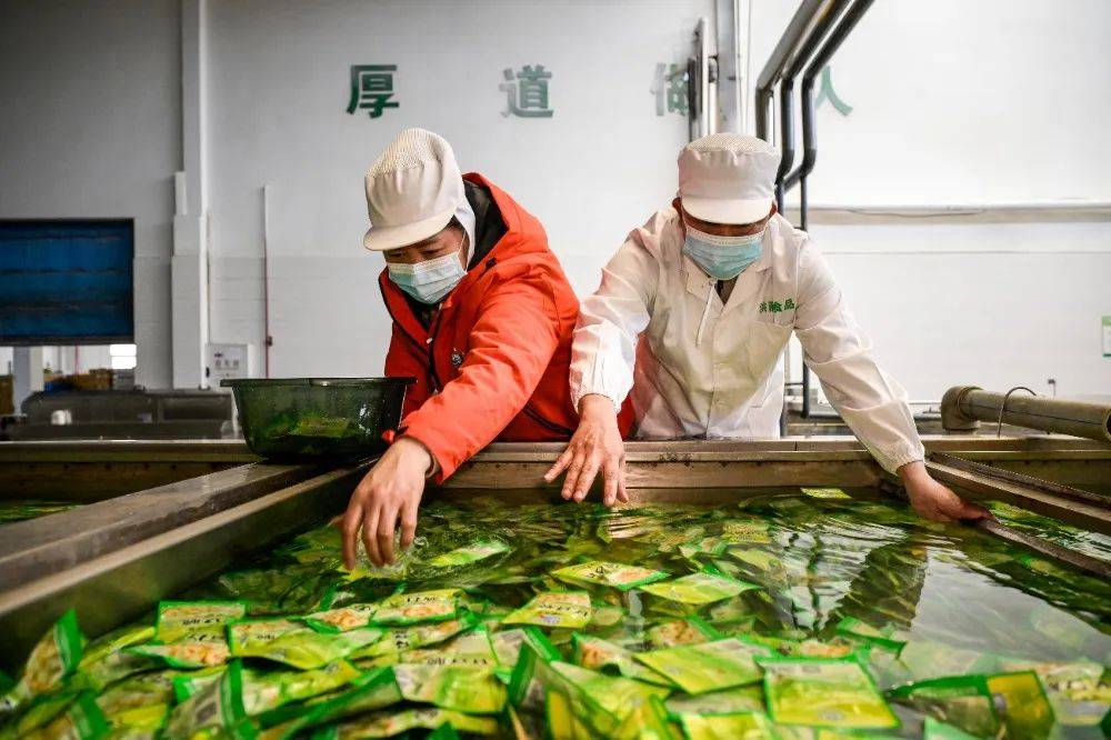 新重庆客户端关注 “再造一个涪陵工业” 一碟“国民下饭菜”加速新旧动能转化(图3)