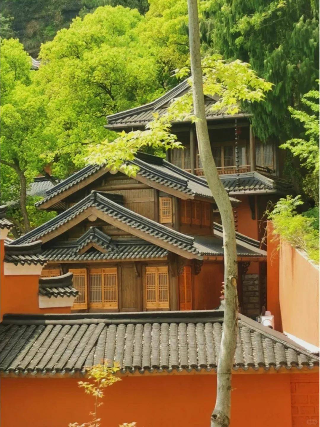 浙江绝美小县城被称为山水神秀 佛宗道源5月迎来最佳出行季