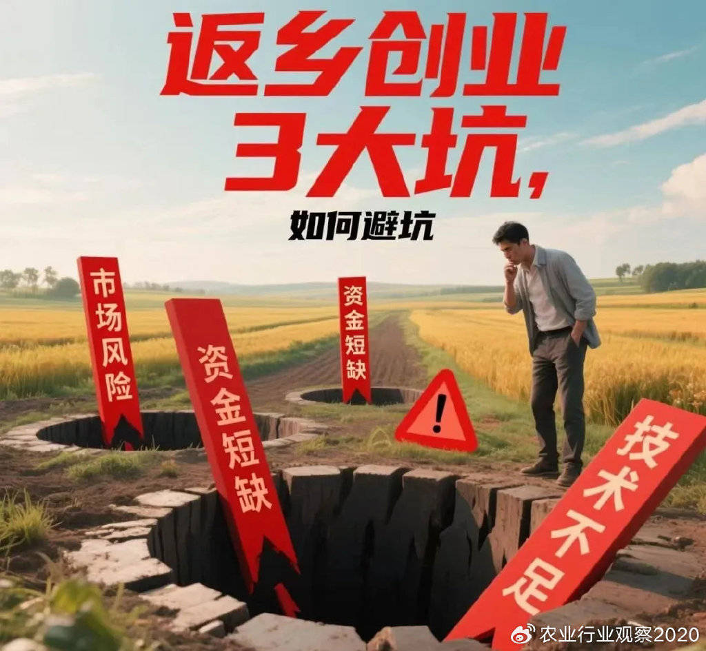 农村新型行业创业(农村新型行业创业计划书)