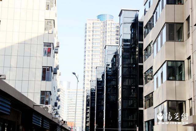 必赢登录全域绿化转型 勾勒生态宜居新图景——府谷县生态文明建设纪实(图3)