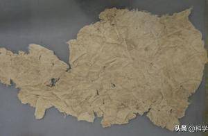纸是怎么做出来的?从手工到工业化生产,千年纸张进化史_造纸_纤维_蔡伦