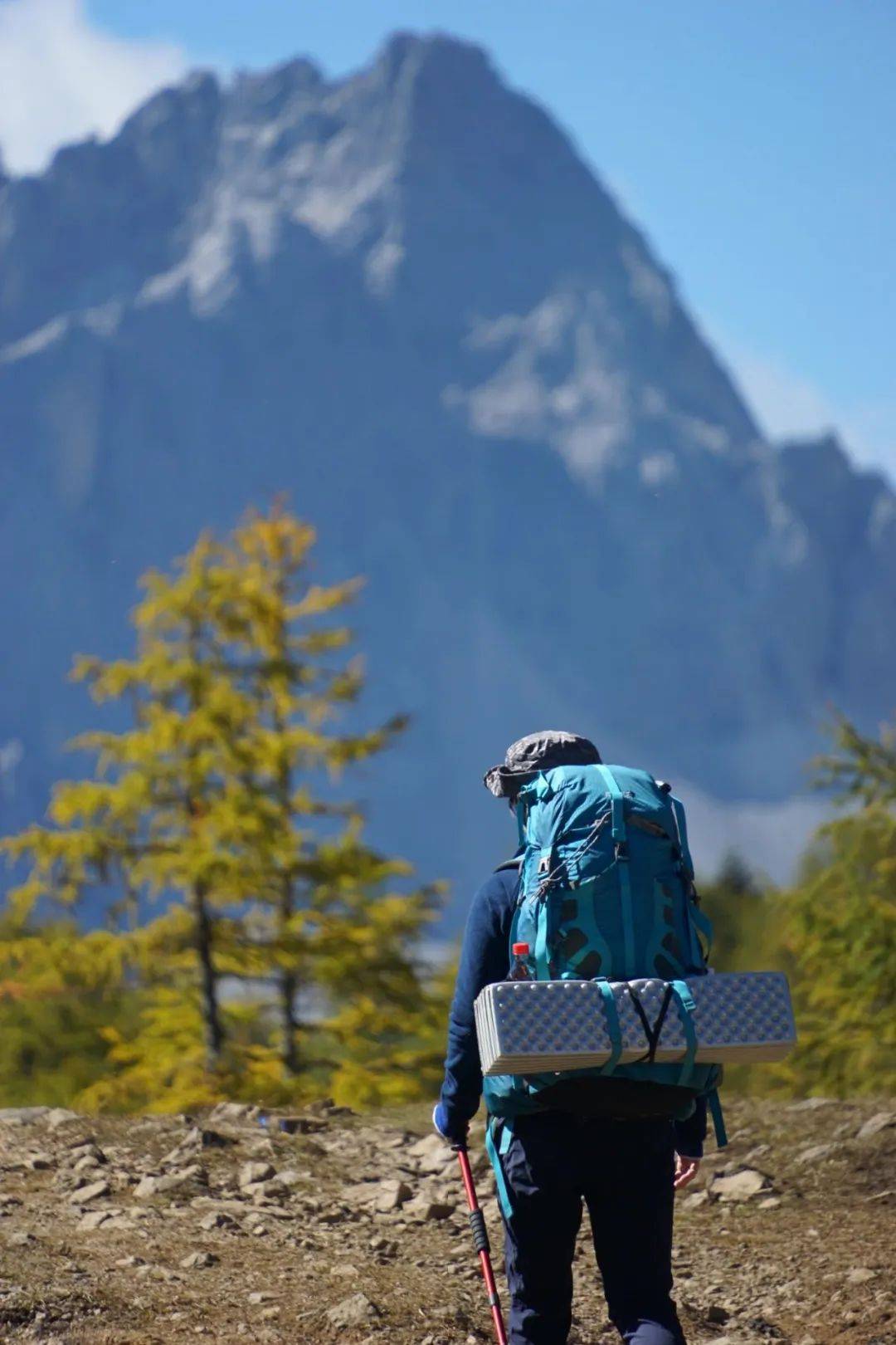 美嘉体育登录0成本旅行年轻人的“杀猪盘”(图7)
