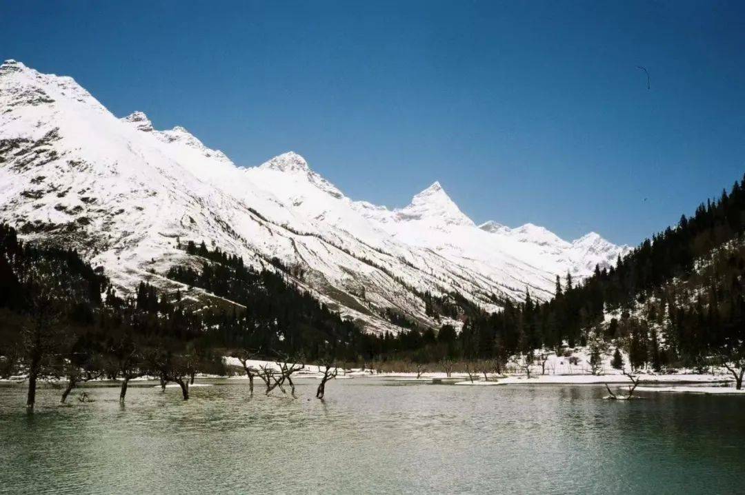 美嘉体育登录0成本旅行年轻人的“杀猪盘”(图6)
