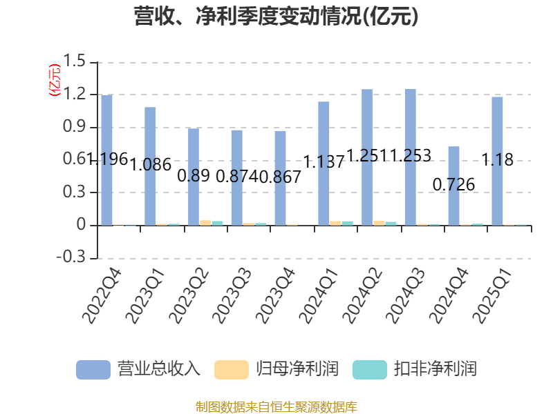 齐鲁华信财务分析_齐鲁华信2025年第一季度报告_齐鲁华信