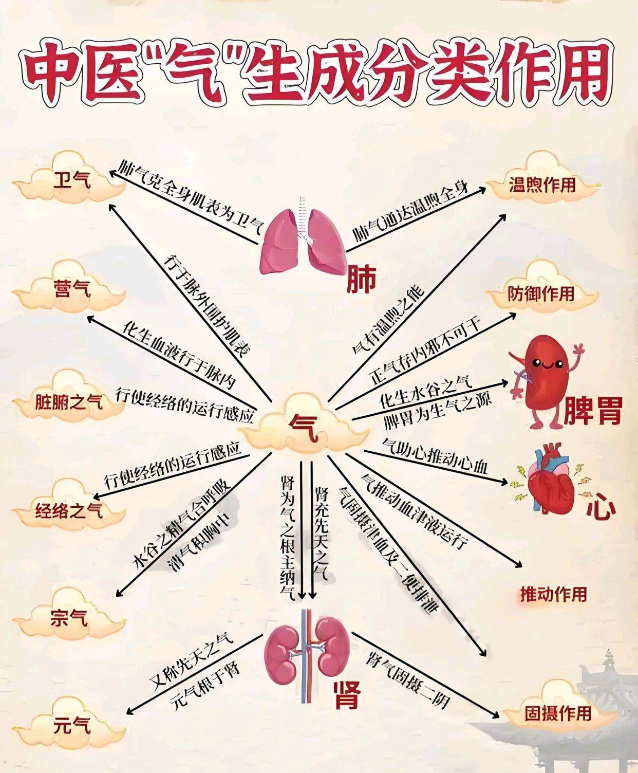 中医讲:人体之气_运动_物质_谷气