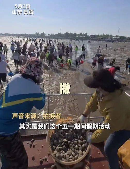山东一景区怕游客赶不到海，一下午撒3000斤蛤蜊！工作人员：给游客提供情绪价值，不能空手而归