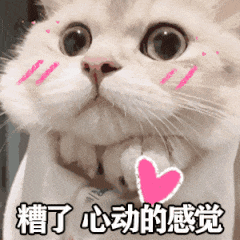 听起来是不是很心动?