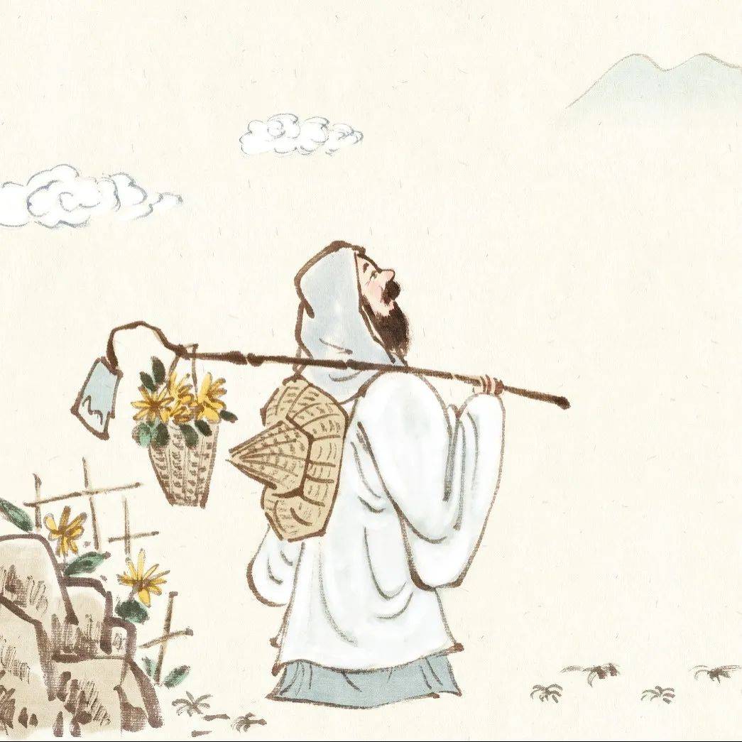 恰逢"劳动节",来看我的"五柳农庄开荒实录"