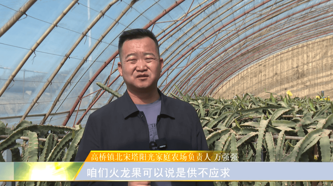 开云体育入口南果北种结硕果 致富路上燕窝甜(图2)