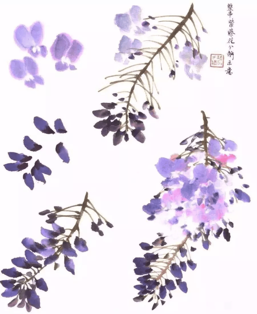 国画基础技法:写意紫藤画法