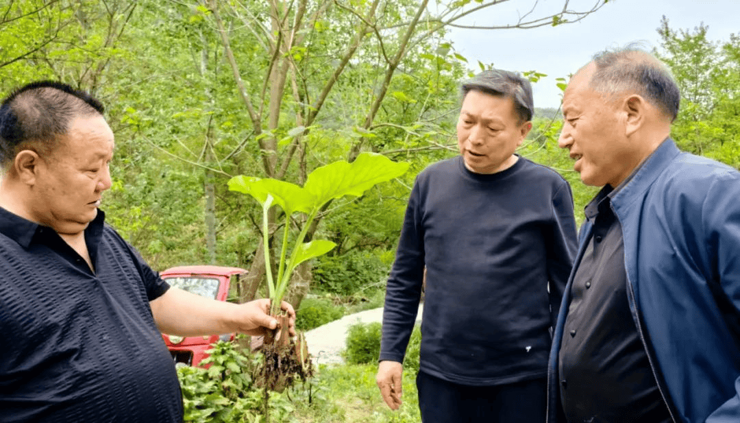 洛阳市人大常委会4月要闻回顾