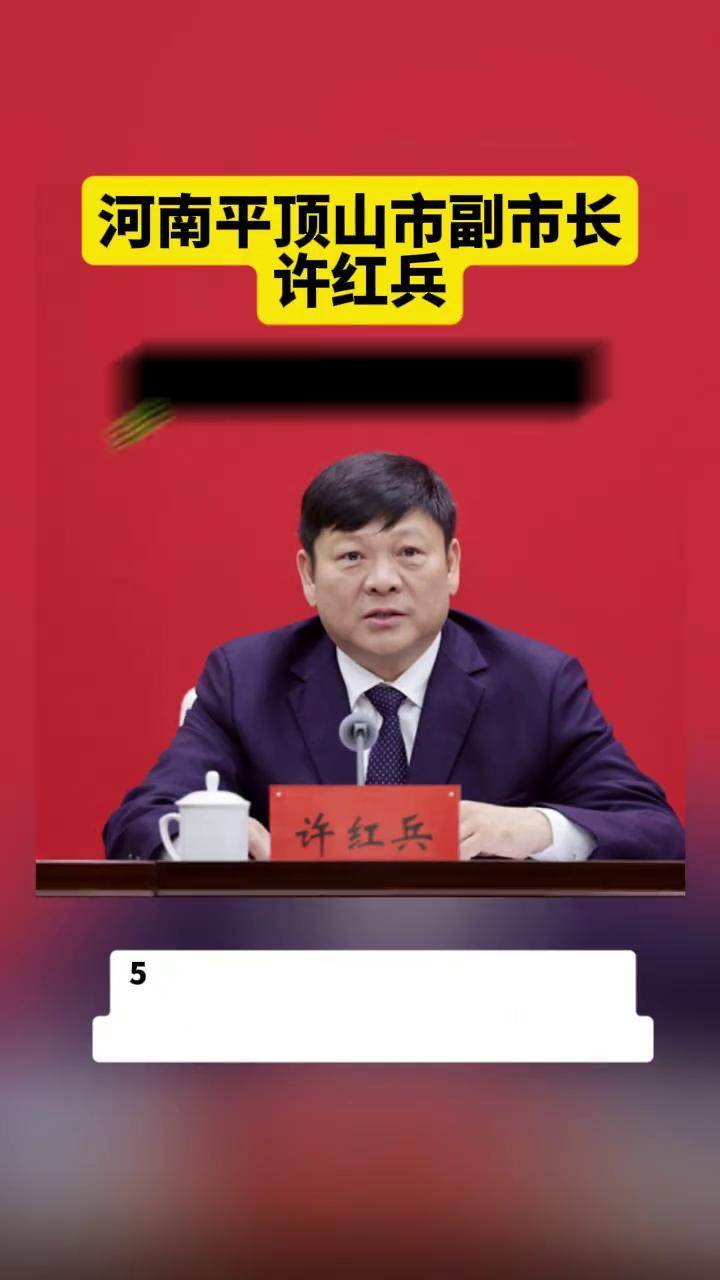 河南省平顶山市政府党组成员许红兵接受审查调查