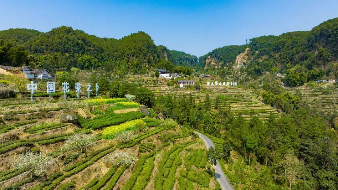 品荣县茉莉花茶饮料 荣县开云注册茶陶亮相四川茶博会(图6)