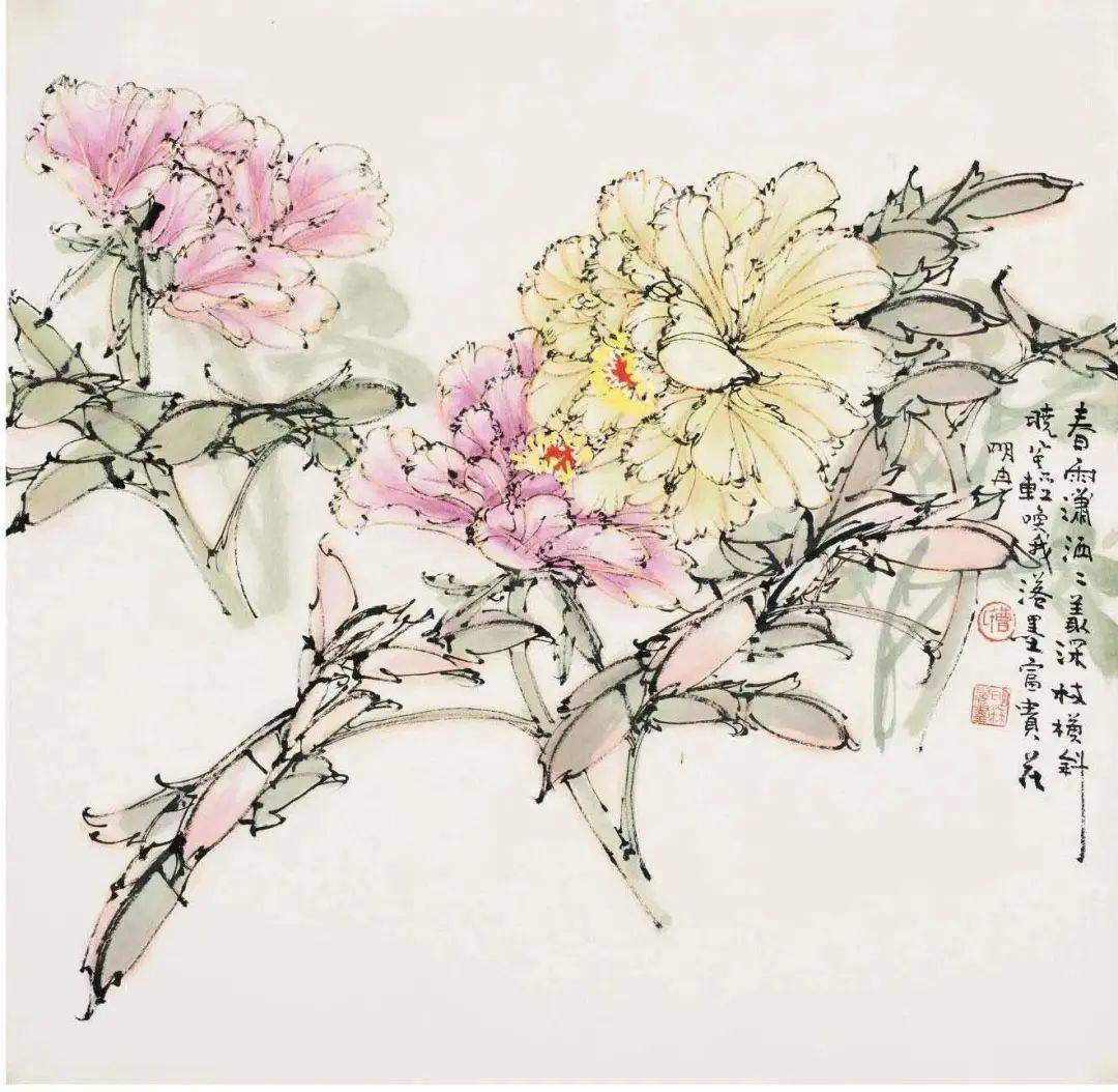 曹明冉双勾牡丹,笔如其人,线如其魂