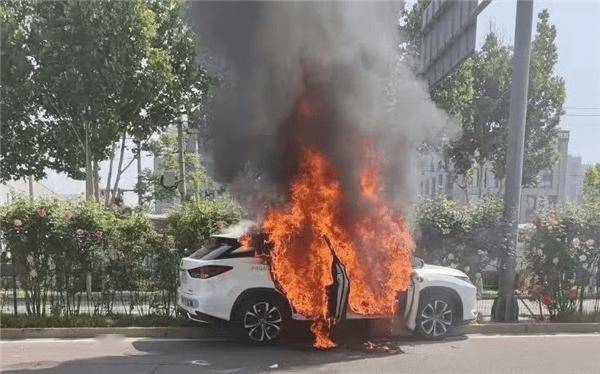 小马智行无人驾驶车被曝撞上绿化带起火