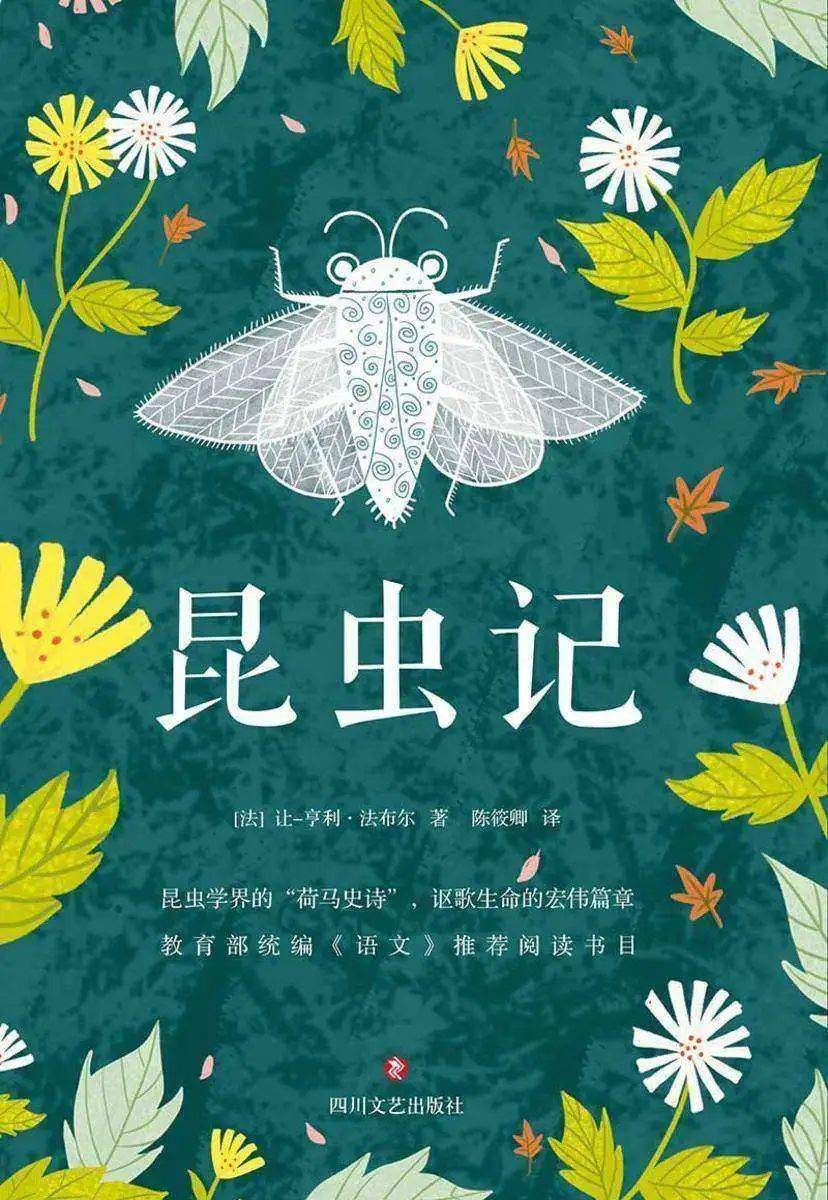 万物有灵,共读《昆虫记》