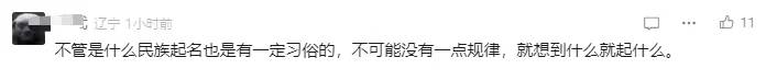 “朱雀玄武敕令”欲改名“周乔治华盛顿”，为啥不能通过审核？