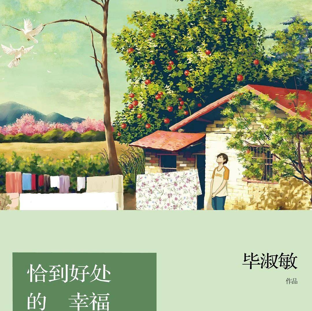 《恰到好处的幸福》经典摘抄金句，长长的路我们慢慢地走_毕淑敏_是一种_酒精