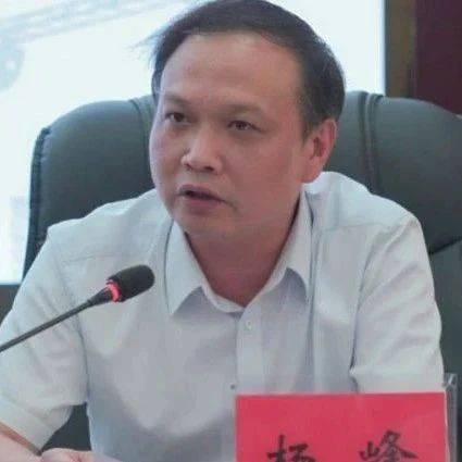 最新！湖南新任一县委副书记_杨峰_衡阳县_汨罗市
