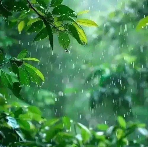 未来两天仍然有雨雨雨......_天气实况_梧州市_气温