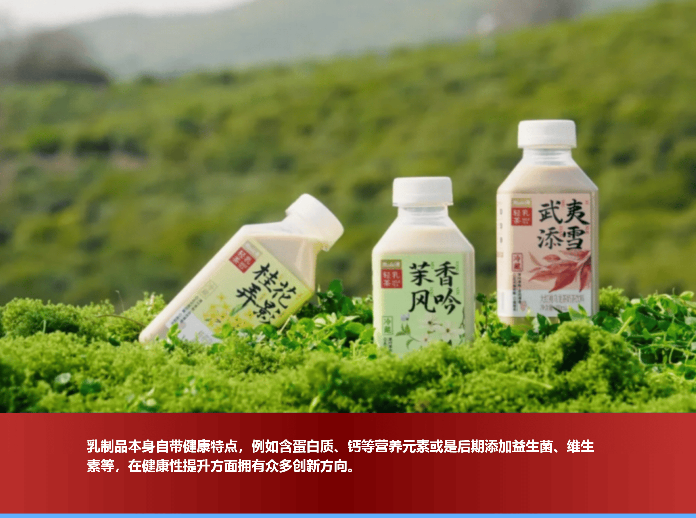 当樱花味不再是 “标准答案” ! 春日乳品创新思考
