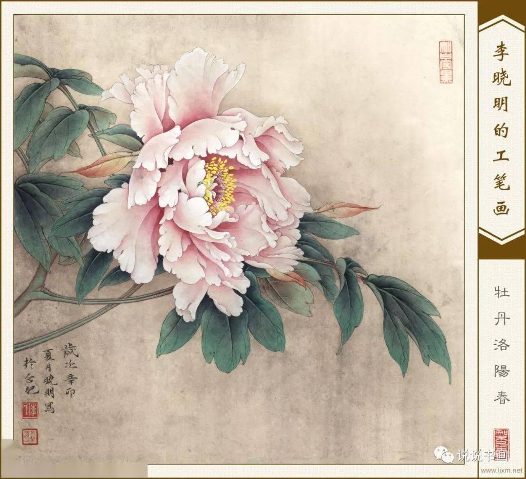 李晓明工笔花鸟55幅,漂亮!
