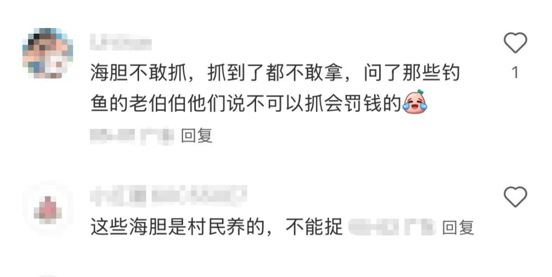 深圳一海滩惊现大量海鲜!有网友称怒捡一百多斤…… 深圳一海滩惊现大量海鲜!有网友称怒捡一百多斤……